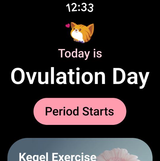 Period Calendar Period Tracker App