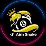 Snake 8 Ball Pool APK