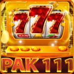 Pak 111 Game